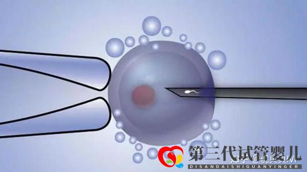 國內(nèi)的三代試管醫(yī)院都有哪些第一梯隊(duì)了解下(圖3)