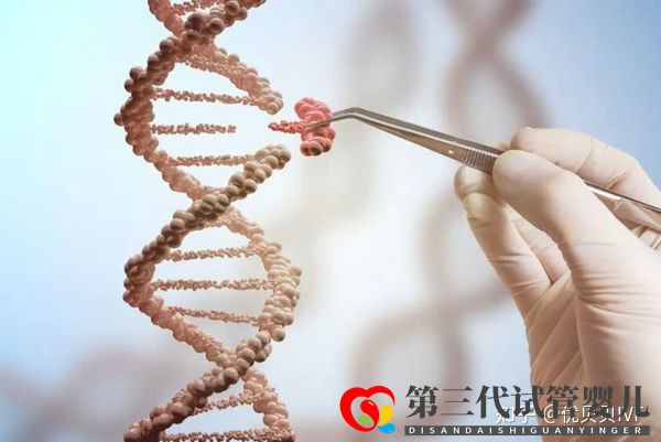 國內(nèi)的三代試管醫(yī)院都有哪些第一梯隊(duì)了解下(圖6)