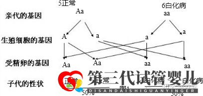 泰國(guó)三代試管PGD技術(shù)能解決白化病的遺傳問(wèn)題嗎(圖2)